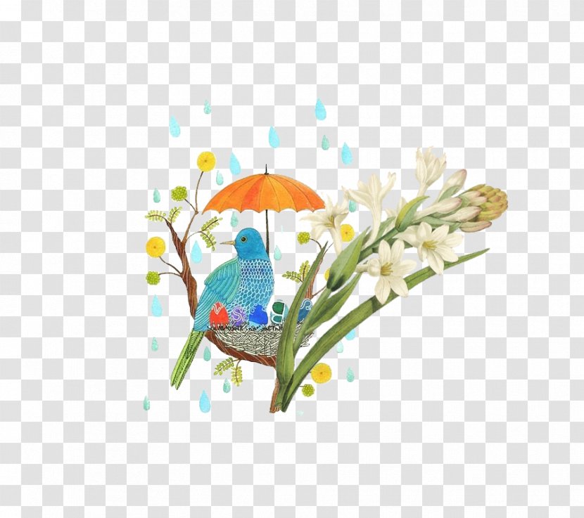 Rain Umbrella Icon - Material - Bird Cover Transparent PNG