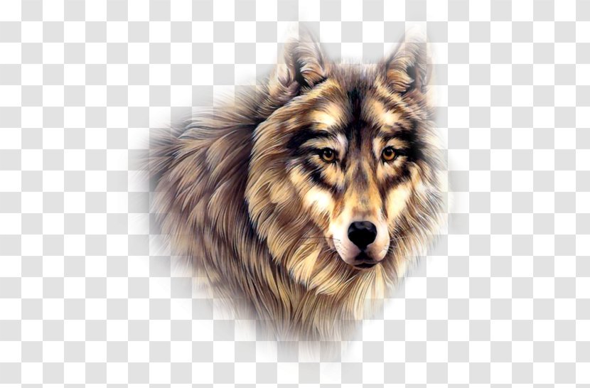 Native Americans In The United States Indian Wolf Cherokee American Jewelry - Canadian Eskimo Dog Transparent PNG