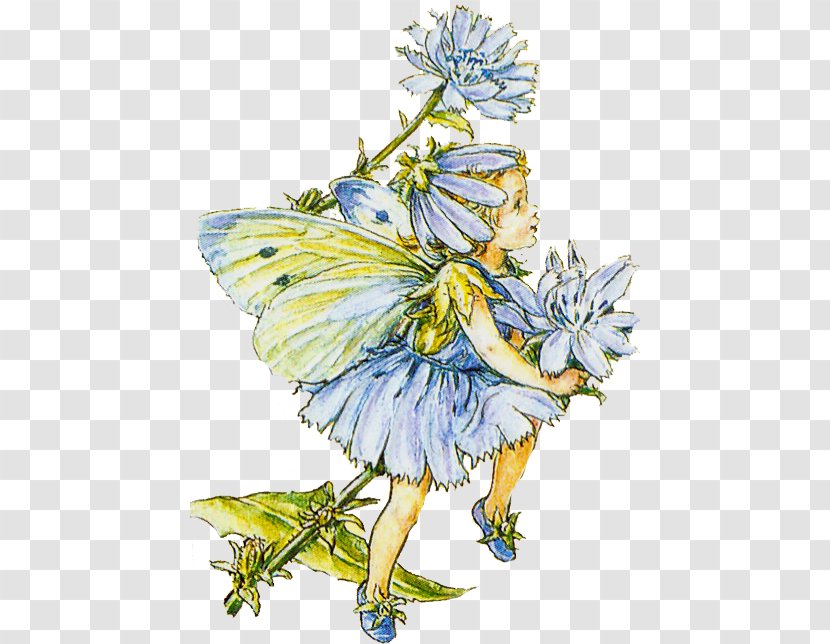 Le Fate Dei Fiori The Book Of Flower Fairies Wayside Fairy With Turquoise Hair - Tale - Cicely Mary Barker Transparent PNG