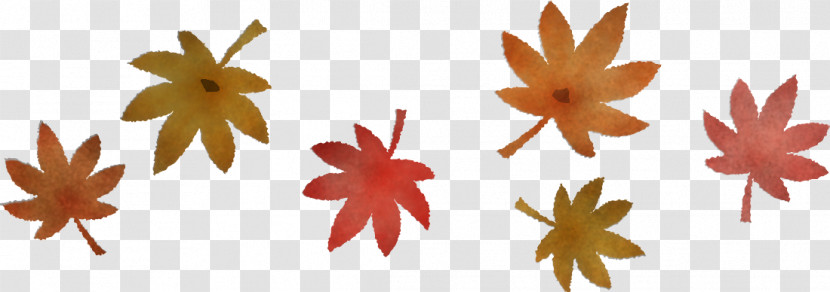 Maple Leaf Transparent PNG