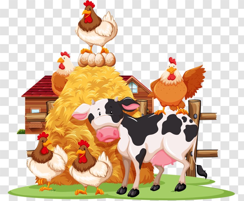 Vector Graphics Royalty-free Stock Photography Chicken Illustration - Livestock Transparent PNG