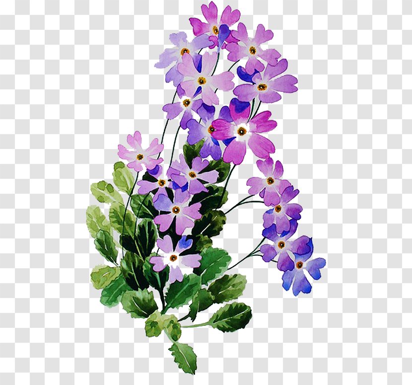 Floral Design Petal Viola Herbaceous Plant - Flowers Transparent PNG