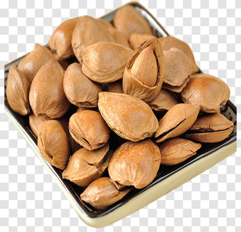 Almond Nut Apricot Kernel - Ingredient - Creamy Transparent PNG