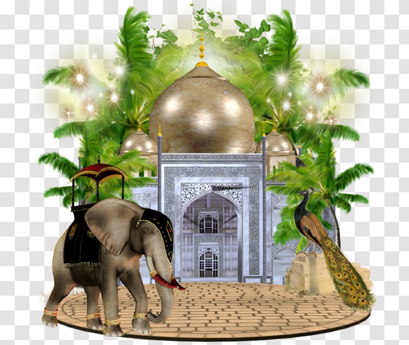 Indian Elephant Flowerpot Elephantidae - Flower Transparent PNG