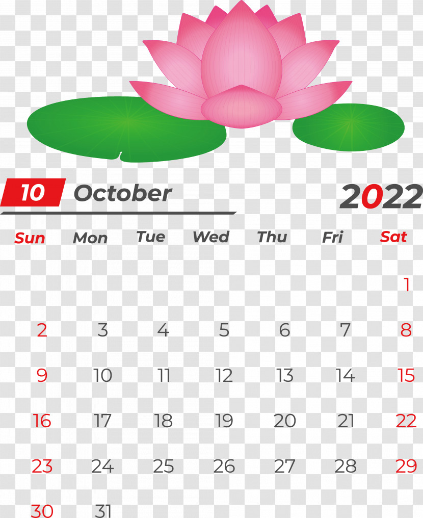 Calendar Line Font Flower Petal Transparent PNG