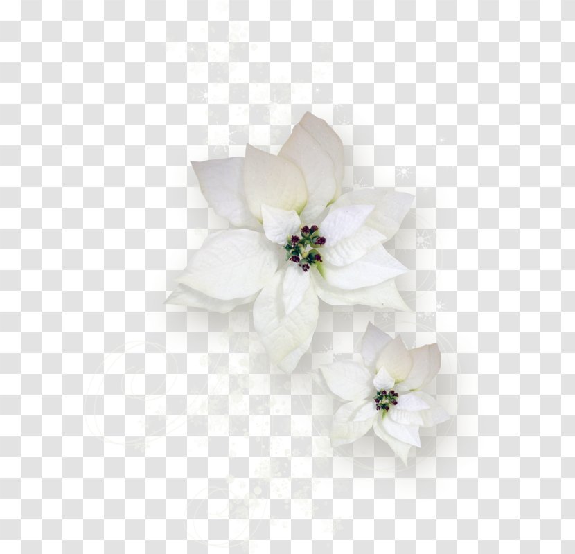 Floral Design Cut Flowers Flower Bouquet Transparent PNG