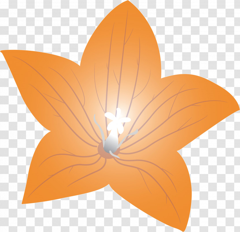 Balloon Flower Transparent PNG