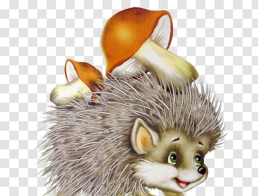 Domesticated Hedgehog European Animal Porcupine - Mouse Transparent PNG