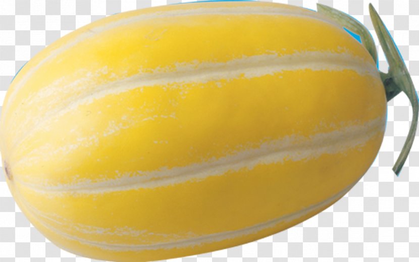 Honeydew Cantaloupe Calabaza Winter Squash - Melon - Vegetables Transparent PNG