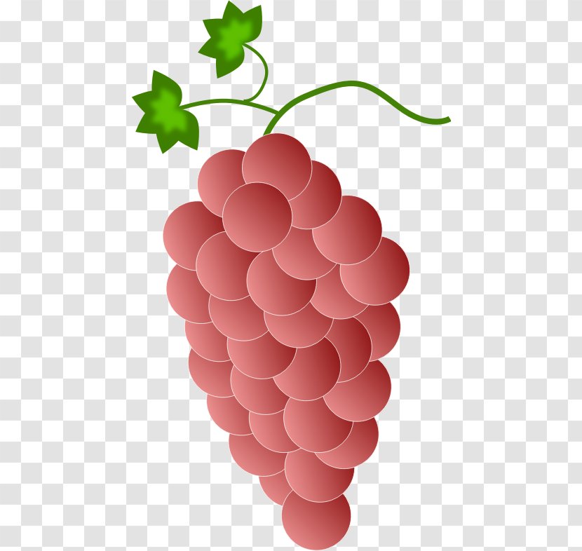 Common Grape Vine Red Wine Clip Art - Grapevine Family Transparent PNG