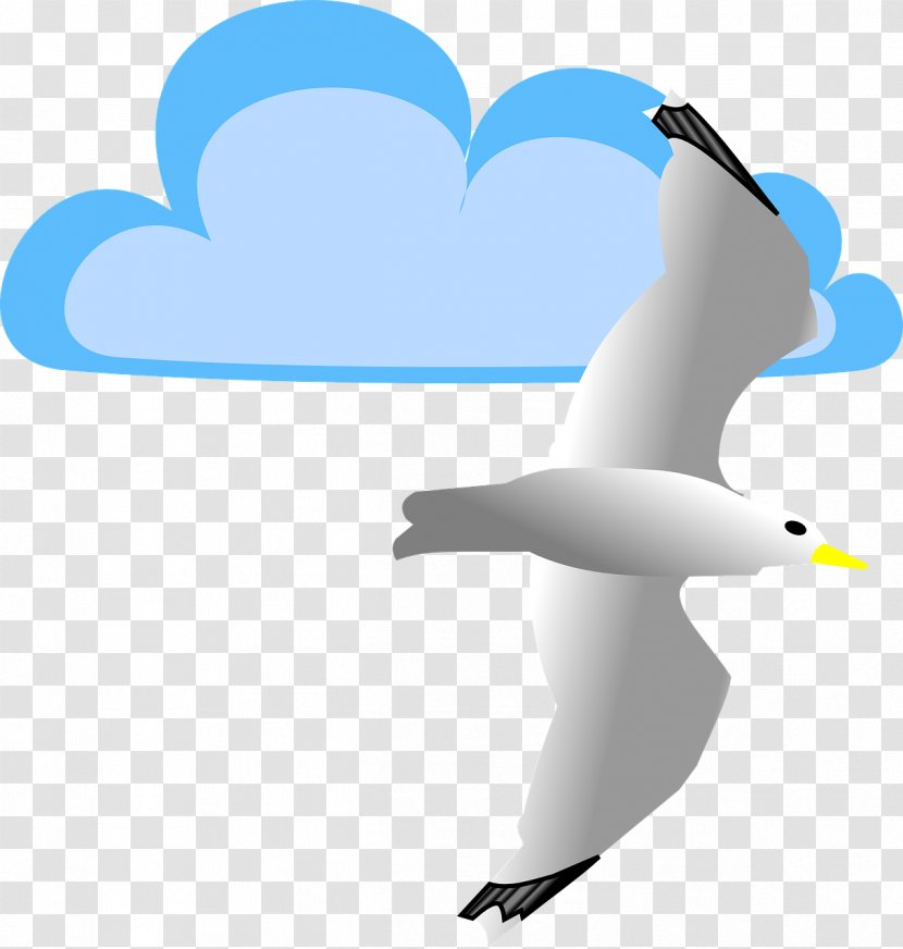 Gulls Clip Art - Penguin - Gull Transparent PNG