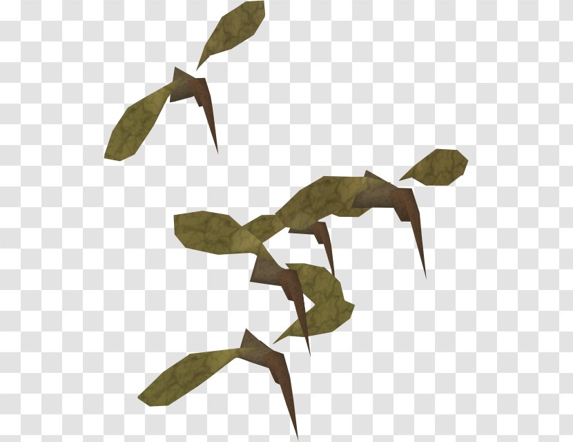 Twig Background - Runescape - Eucalyptus Plant Stem Transparent PNG