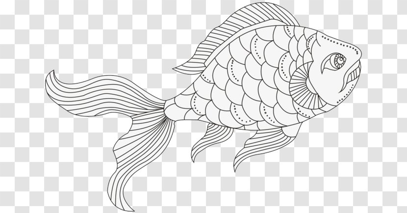 Image Design Download Fish - Organism - Novi Sad Transparent PNG