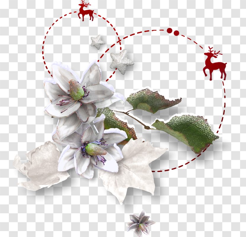 Christmas Clip Art - Plant - Decorative Star Lily Transparent PNG