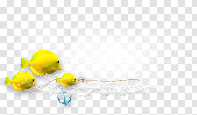 Image Sharing Photography DenizBank Wallpaper - Beautiful Yellow Fish Transparent PNG