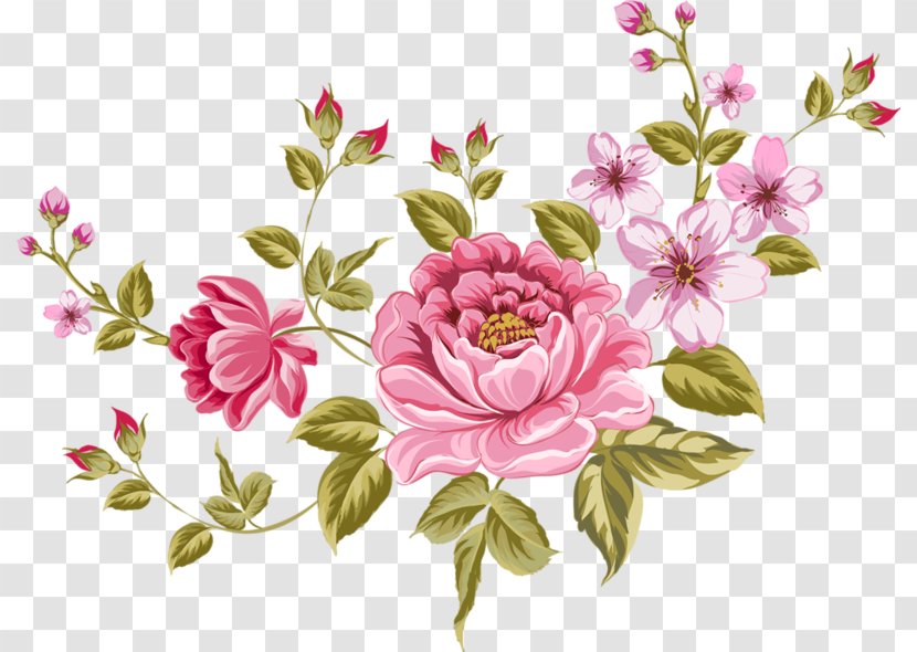 Rose Clip Art - Flora Transparent PNG