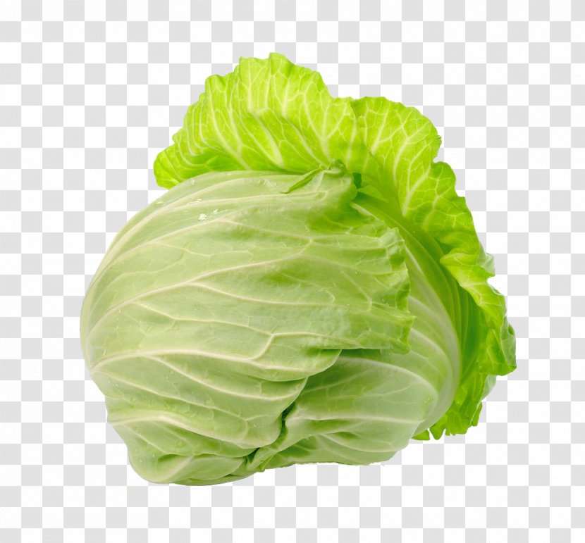 Savoy Cabbage Photography - Brassica Oleracea - HD Flat Image Transparent PNG