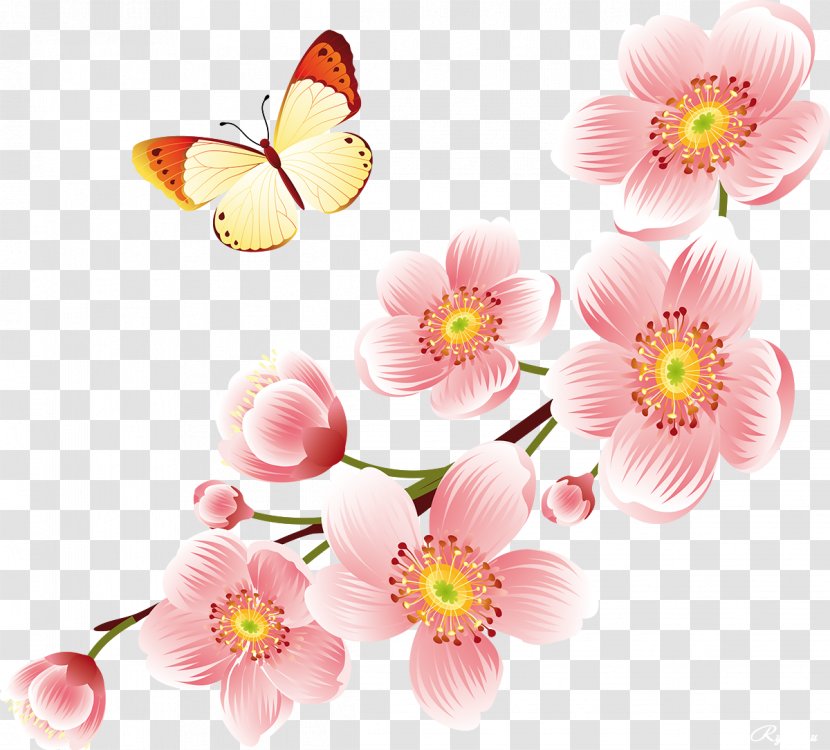 Cherry Blossom Flower Floral Design - Butterfly Transparent PNG