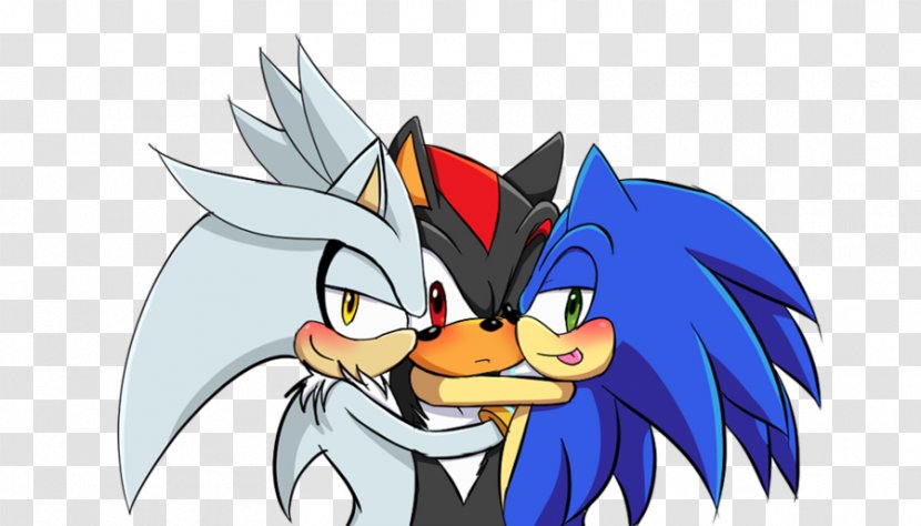 Shadow The Hedgehog Sonic And Black Knight Mephiles Dark Amy Rose Silver - Cartoon - Flower Transparent PNG