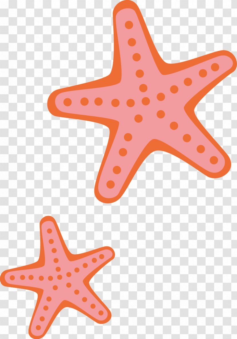 Starfish Cartoon - Drawing - Creative Transparent PNG