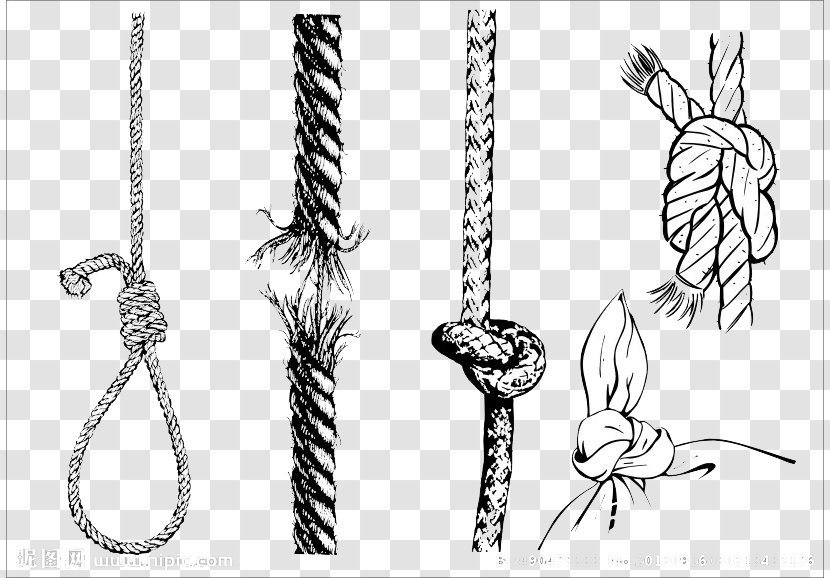 Rope Knot Cdr Transparent PNG