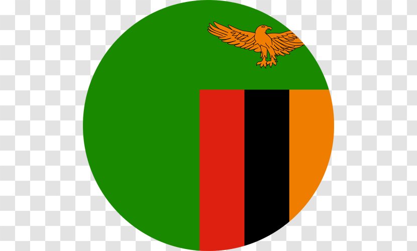 Flag Of Zambia Gallery Sovereign State Flags - Area Transparent PNG