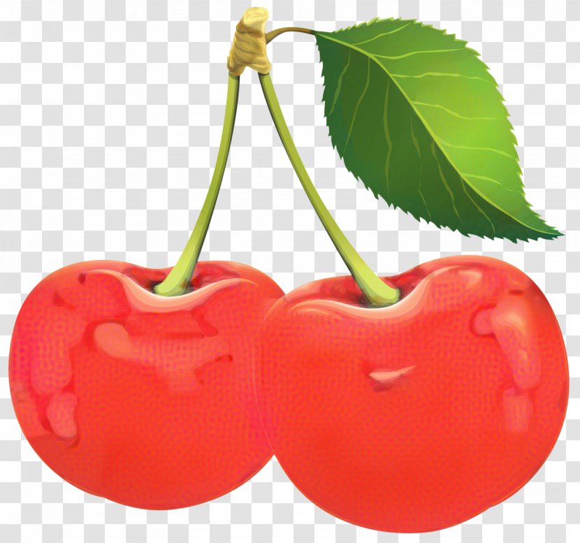 Cherry Tree - Barbados - Prunus Transparent PNG