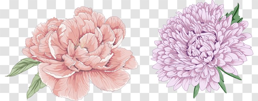 Moutan Peony Download - Flower Bouquet - Two Flowers Transparent PNG