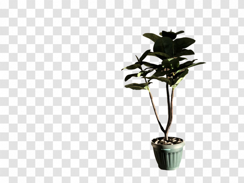 Plant Stem Leaf Houseplant Flowerpot Flora Transparent PNG