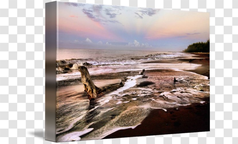 Driftwood Stock Photography Sky Plc - Frame Transparent PNG