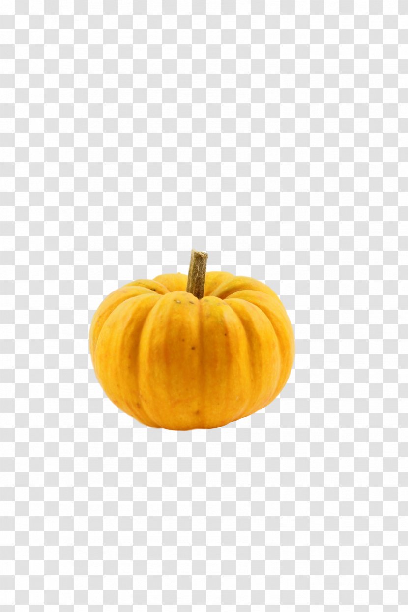 Pumpkin Winter Squash Gourd Calabaza Cucurbita - Vegetable Transparent PNG