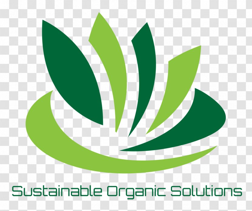 El Sherouk Establishment Shrouk Industry Agriculture Naresh Designs - Brand - Export Transparent PNG