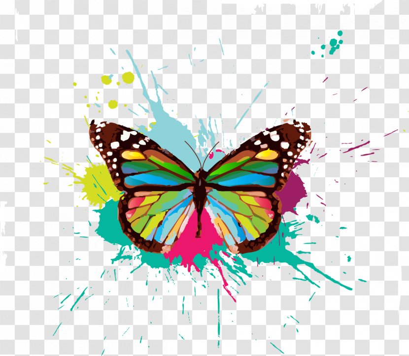 Facebook Paint Color - Dayton City Paper - Colorful Butterfly Transparent PNG