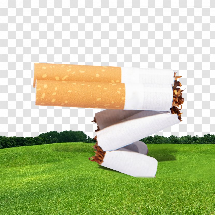 Poster Smoking Banner - Grassland Background Cigarettes Transparent PNG