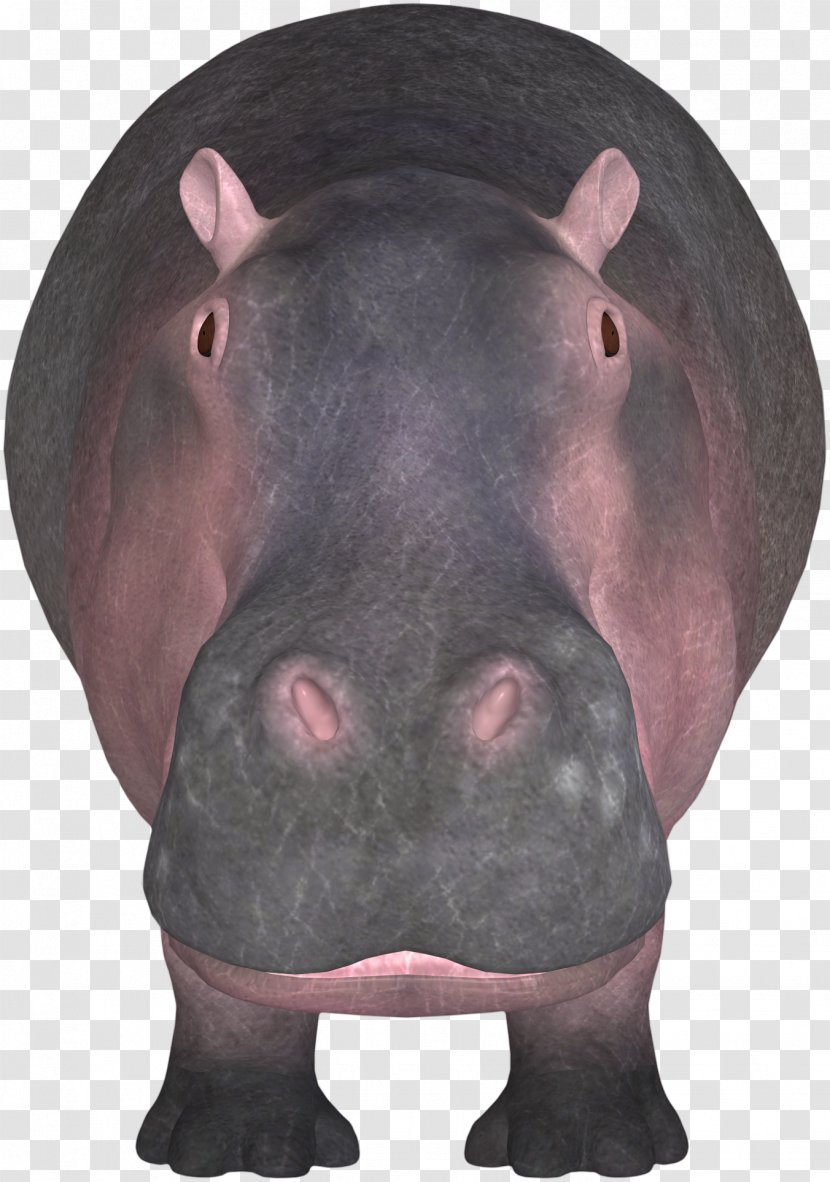 Hippopotamus Icon - Hippo Transparent PNG