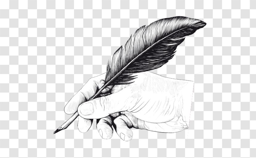 Quill Pen Drawing Feather - Stock Photography Transparent PNG
