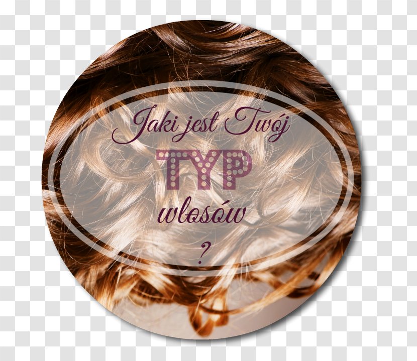 Hair Time Blog Tableware Transparent PNG