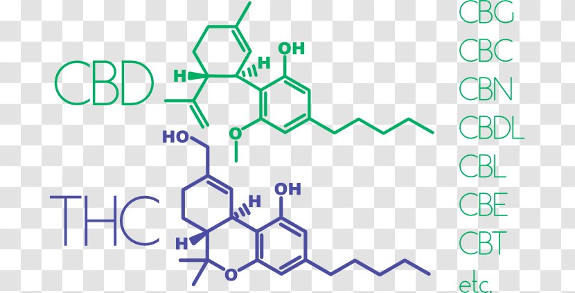 Cannabinoid Cannabis Tetrahydrocannabinol Cannabidiol Leer - Diagram - Medicinal Material Transparent PNG