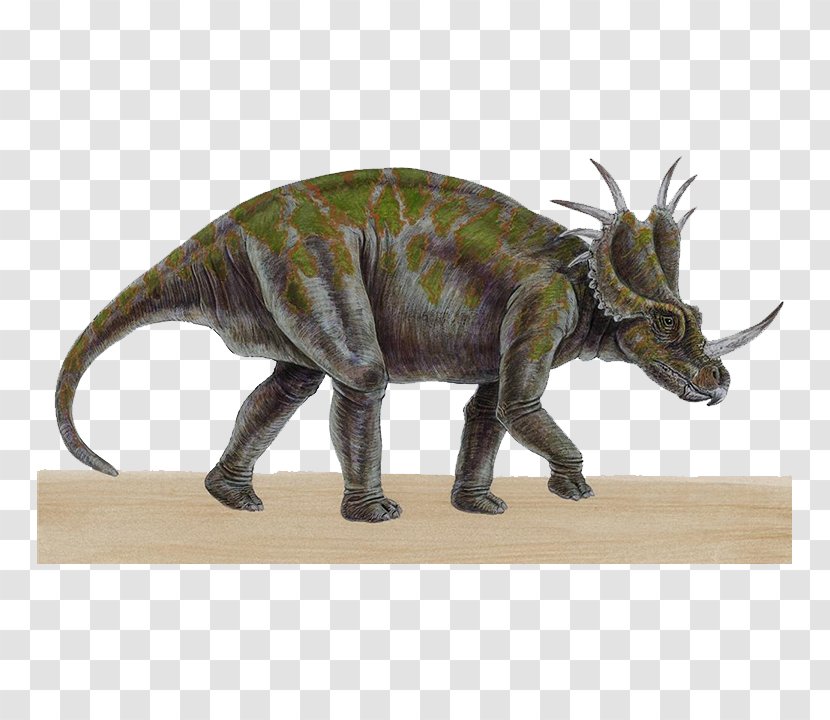 Triceratops Carnotaurus Styracosaurus Reptile Tyrannosaurus Rex - Carnivore - Horned Dinosaur Transparent PNG