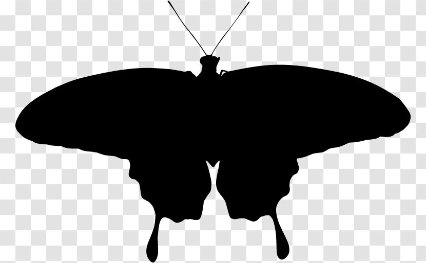 Brush-footed Butterflies Butterfly Moth Silhouette Clip Art - Pollinator Transparent PNG