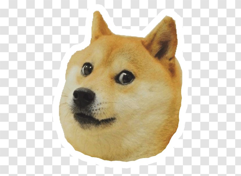 Shiba Inu Dogecoin Animal Puppy - Doge Transparent PNG