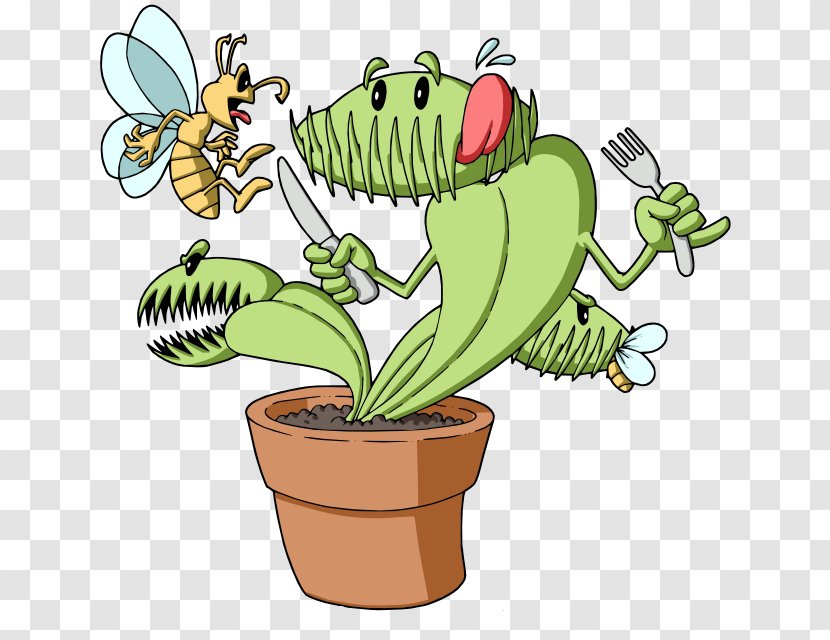 Venus Flytrap Carnivorous Plant Pest Control Carnivore - Eco Slayer Cape Town - Tooth Care Cartoon Transparent PNG