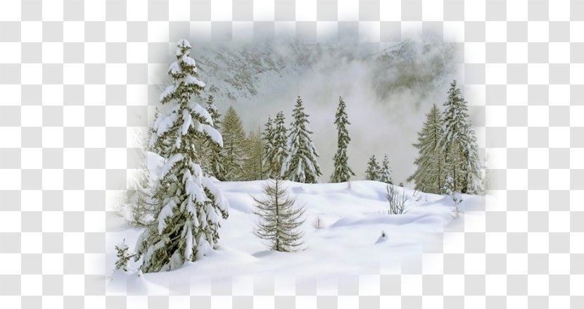 Animation Winter Season - Flower Transparent PNG