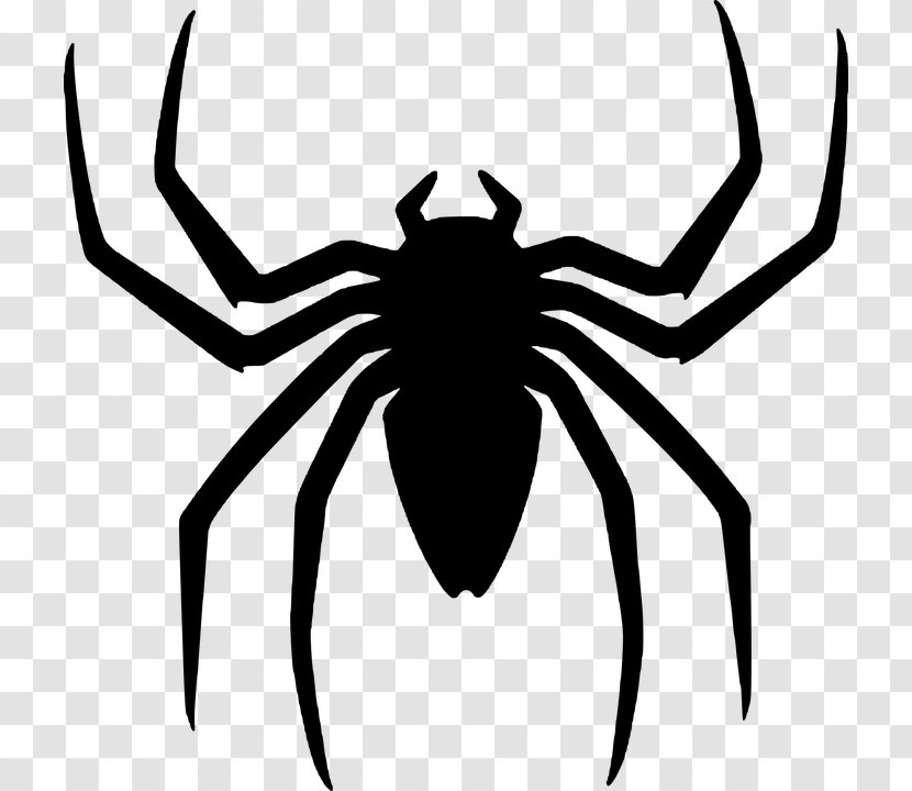 Spider-Man Halloween Clip Art - Widow Spider - Punisher Transparent PNG