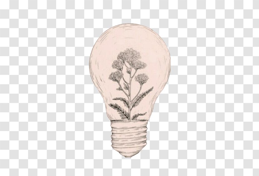 Drawing Idea Aesthetics Art Sketch - Bulb Plant Cultivation Transparent PNG