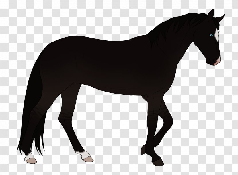 American Quarter Horse Stallion Friesian Black Clip Art - Splash Dirty Transparent PNG