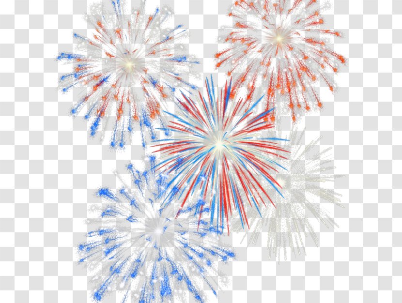 Fireworks - Cartoon - Flower Transparent PNG