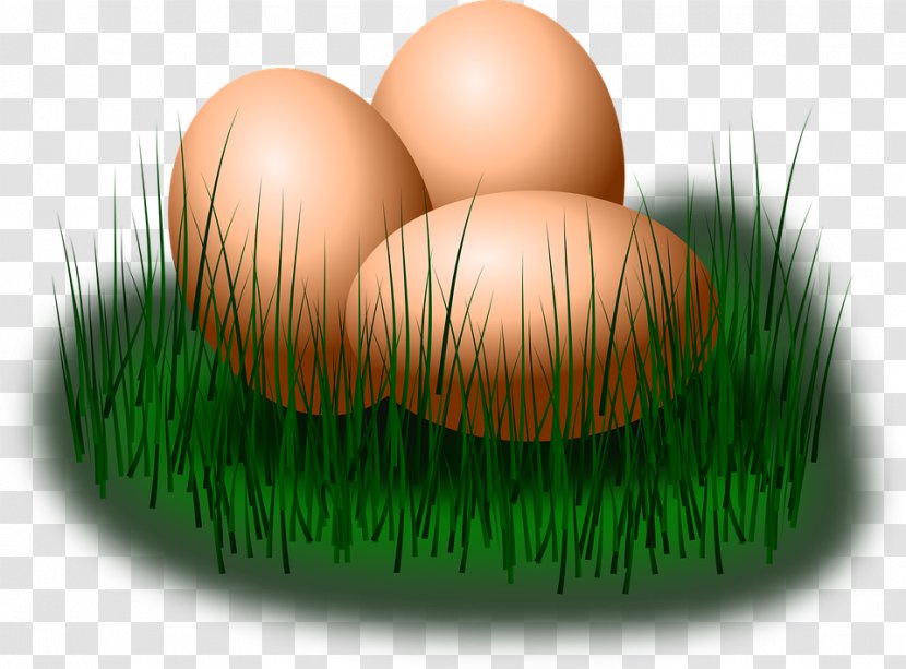 Easter Egg Clip Art - Commodity - Green Flower Transparent PNG