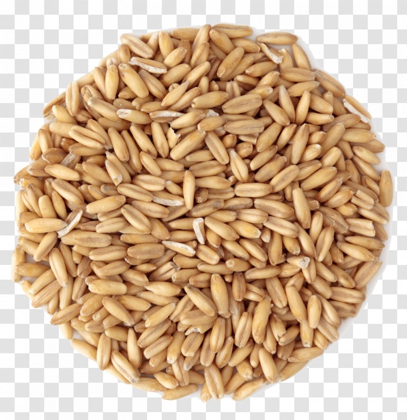 Organic Food Cereal Grain Groat - Dinkel Wheat - Oats Transparent PNG