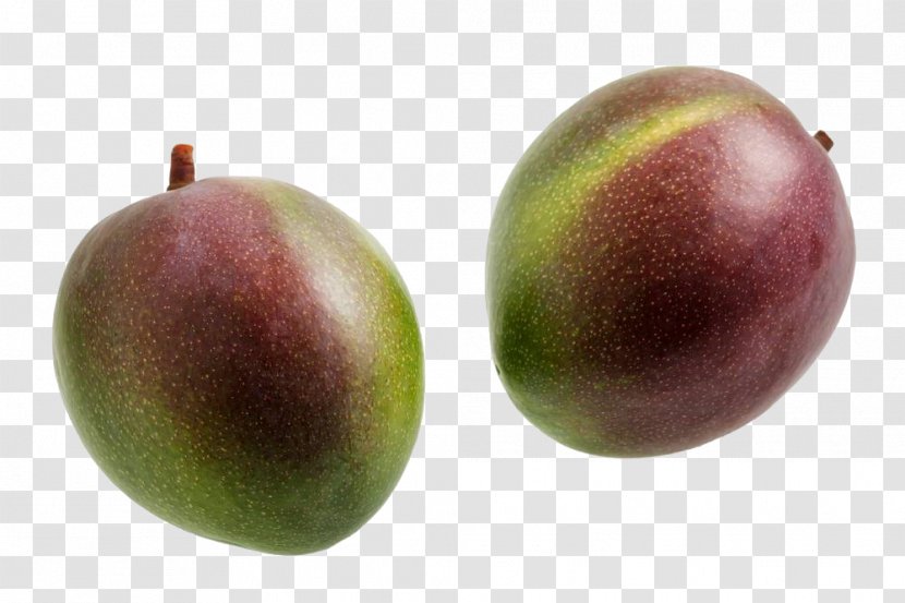 Mango Food Fruit - Mcintosh Laboratory - Two Mangoes Transparent PNG